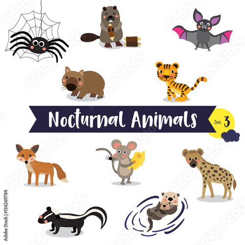 Nocturnal Animals cartoon on white background. Set 3. © natchapohn