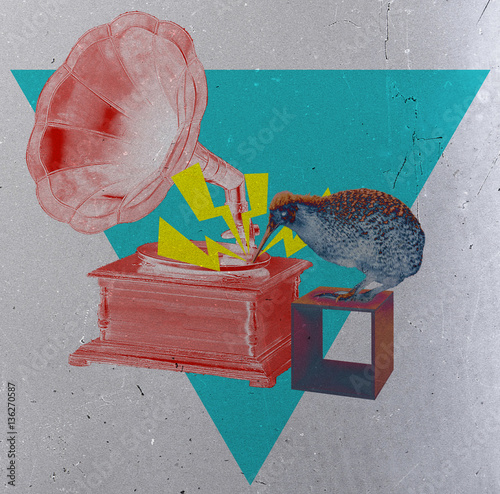 A kiwi bird playing a turntable LP player - DJ concept - collage vintage composition