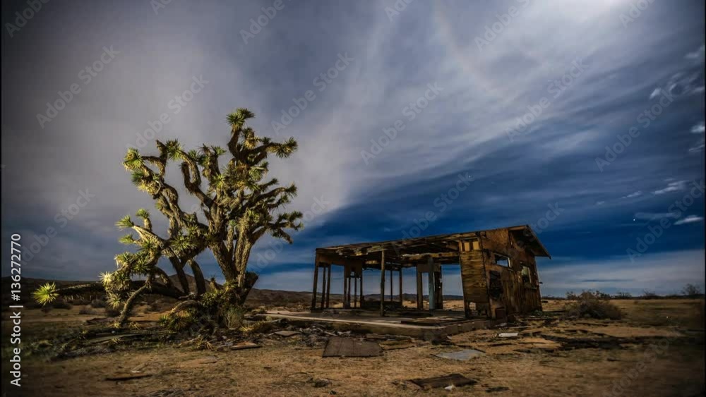Time lapse of cumulus clouds moving across the desert sky framed by an old dilapidated house framed and a lone Joshua Tree..