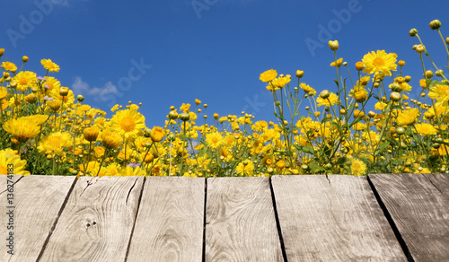 Wood floor and flower background