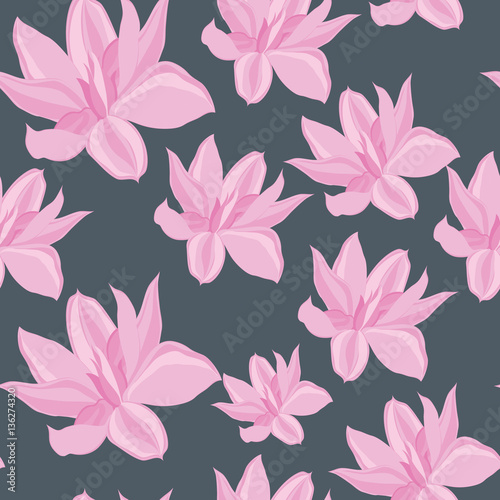 lily on a gray