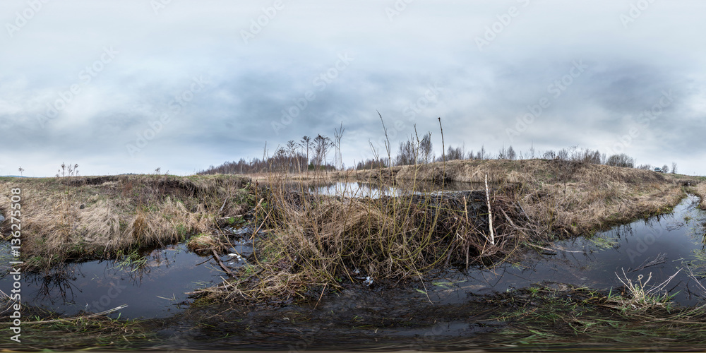 Full 360 degree equirectangula panorama beaver dam