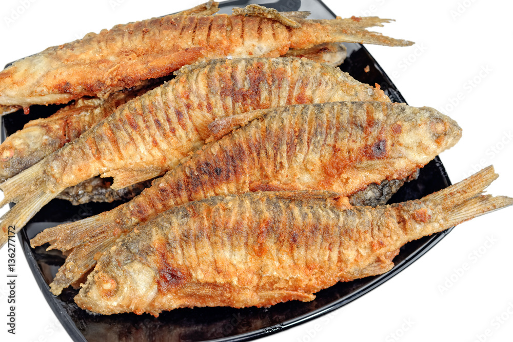 Freshwater fish roach Freshwater fish roach