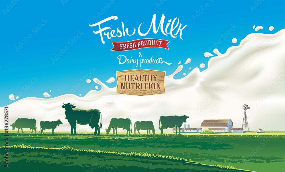 Rural landscape with herd cows and farm with splash milk in background ...