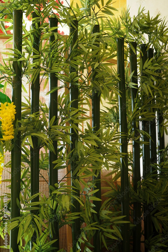 Obraz premium green bamboo