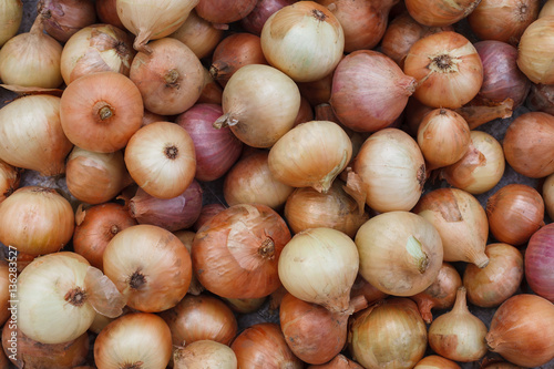 Organic onion freshly gathered  background