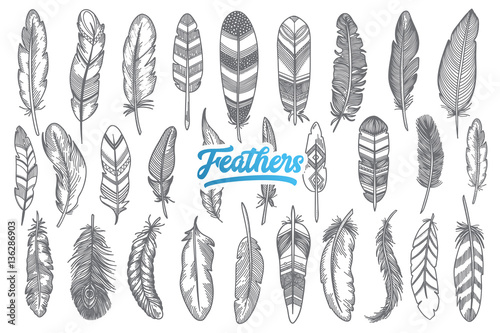 Hand drawn feather doodle set with blue lettering in vector