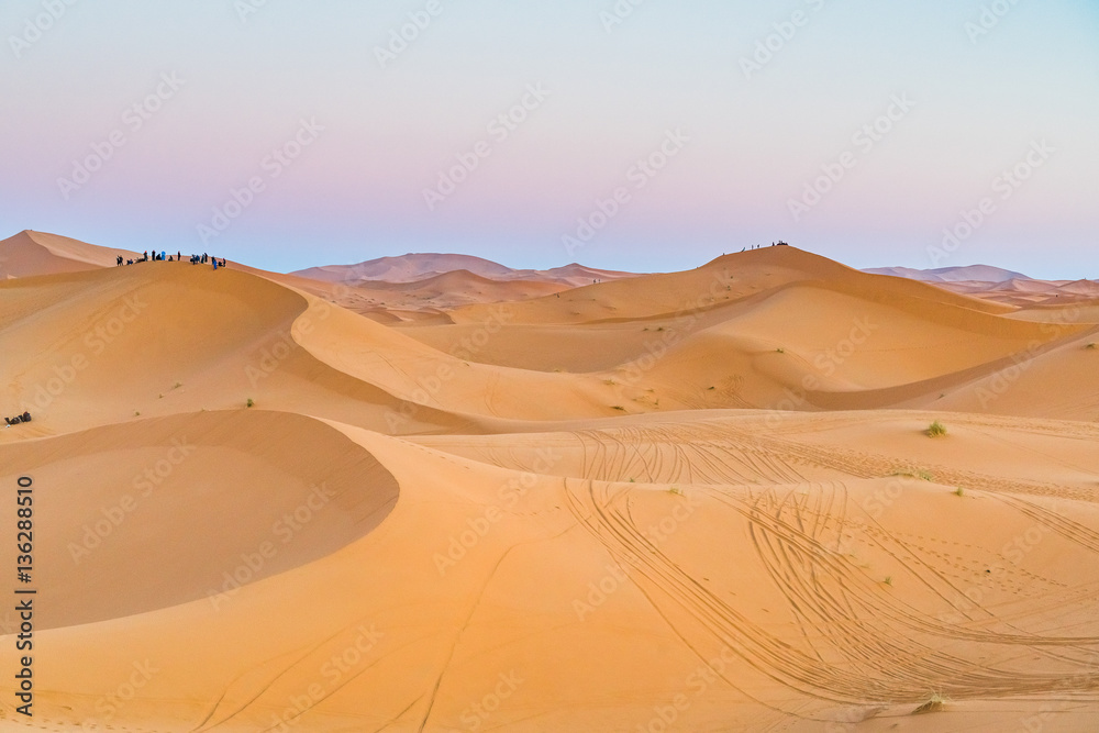 sand desert
