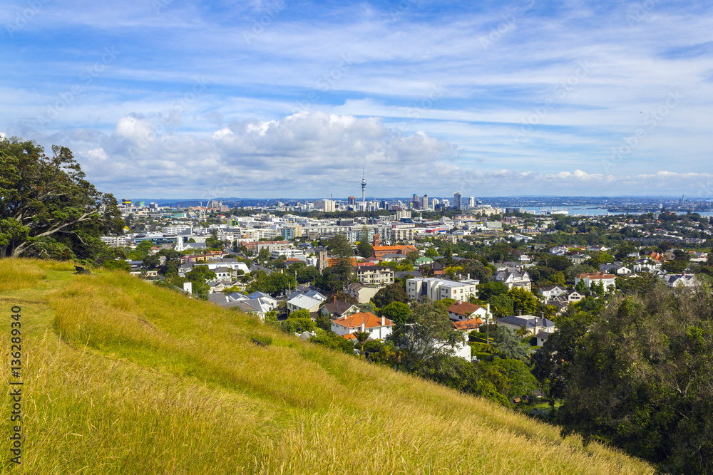 City and Urban Landscape from Mt Hobson Auckland New Zealand