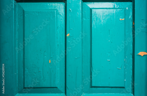 part of the door © maximys15