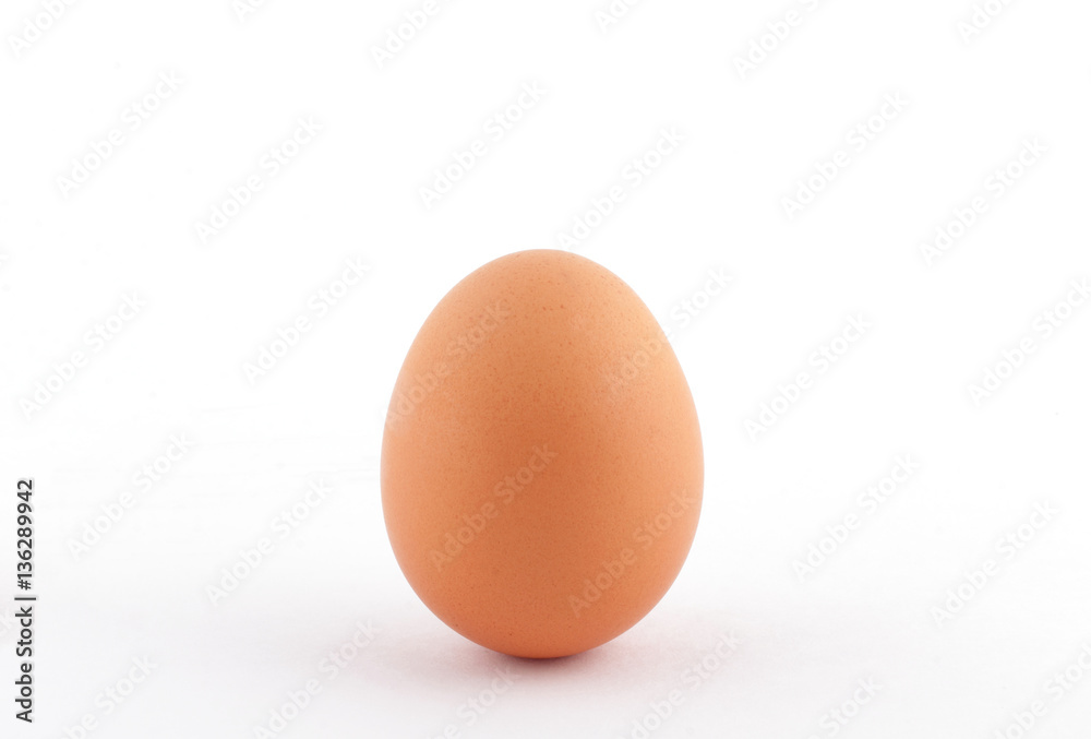 Next egg. Next egg