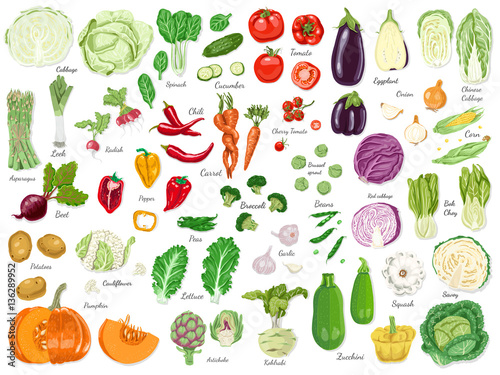Big set of colored vegetables