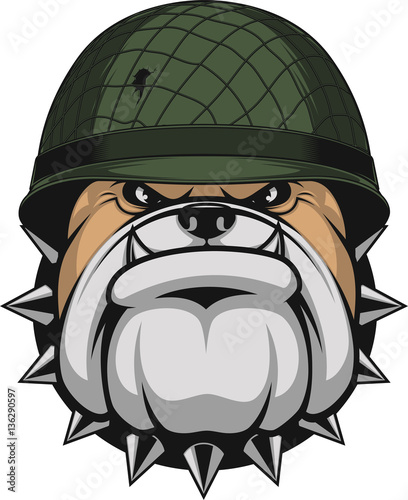 Bulldog in a soldier's helmet.