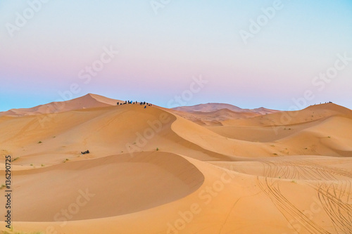 sand desert  