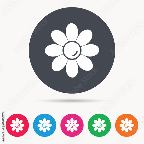 Flower icon. Florist plant with petals symbol. Colored circle buttons with flat web icon. Vector