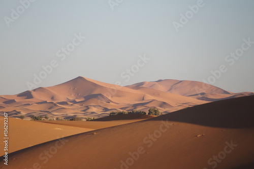 Sahara