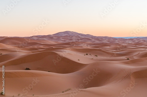 sand desert at the sunset 