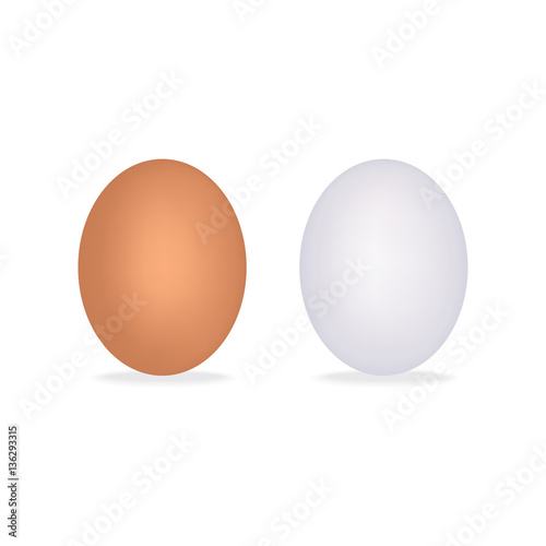 Realistic chicken eggs isolated on white background with shadow. Vector illustration.