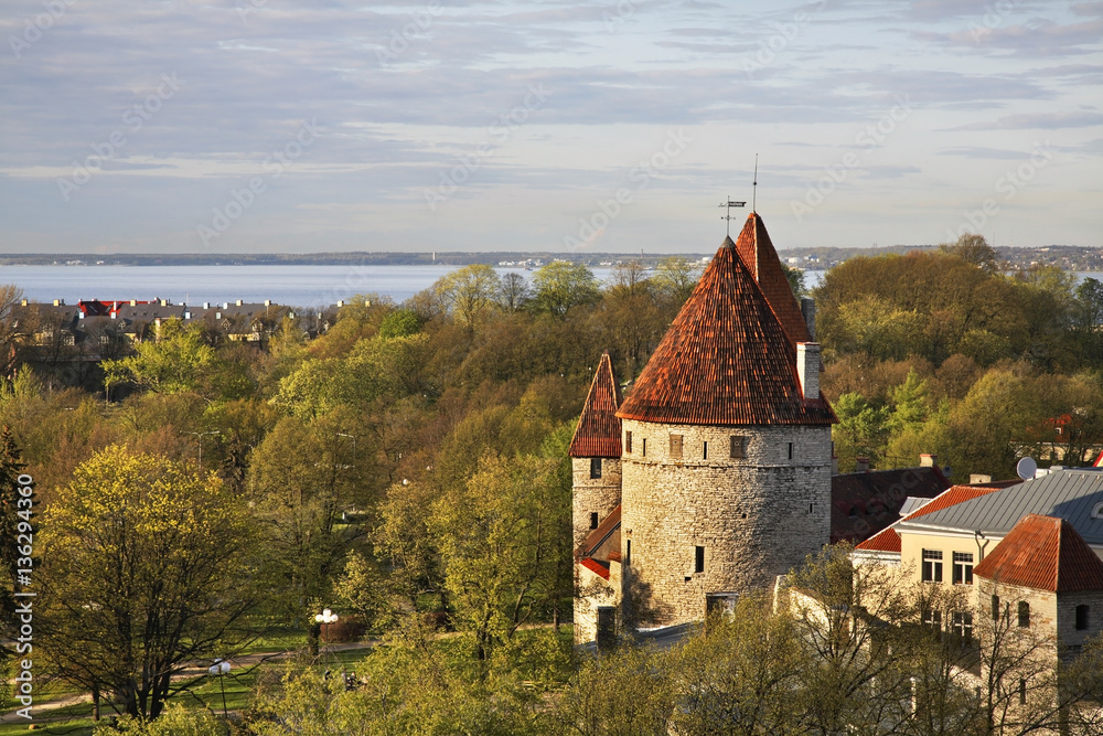 Panoramic view of Tallinn. Estonia Panoramic view of Tallinn. Estonia