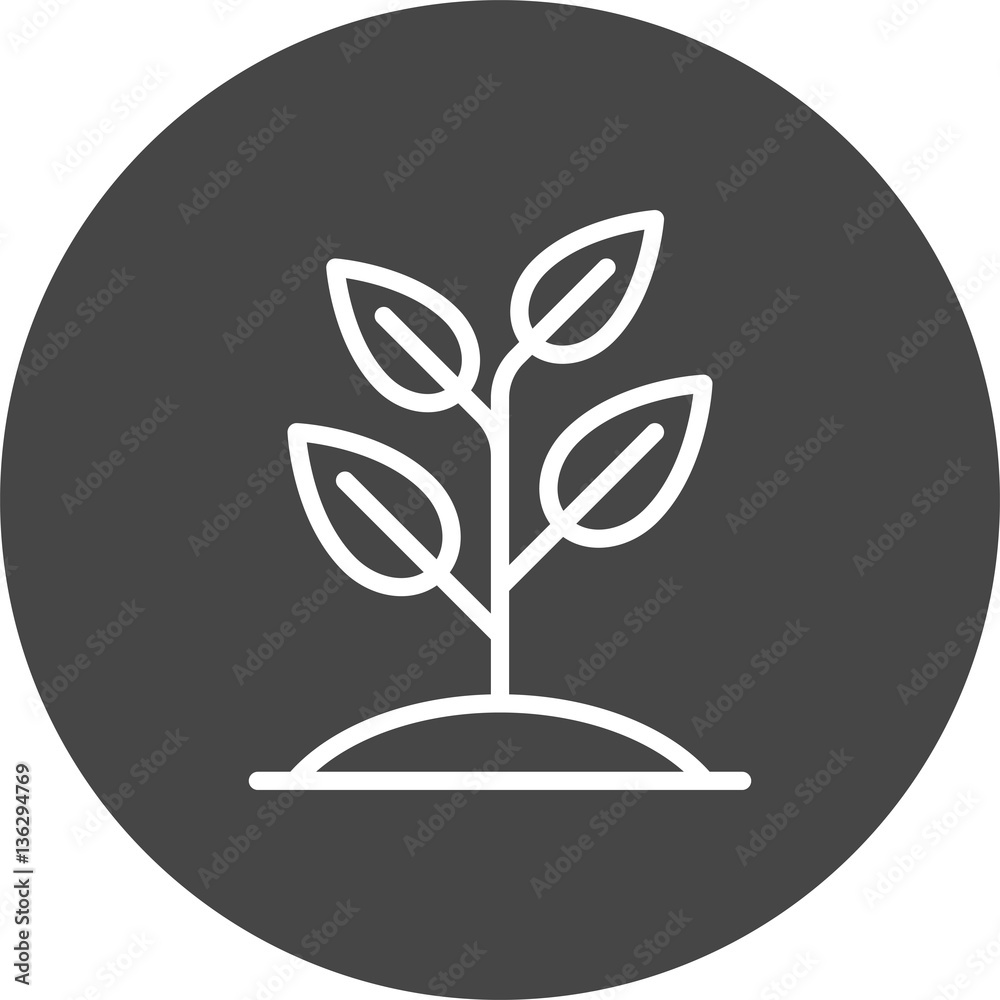 sprout icon sprout icon