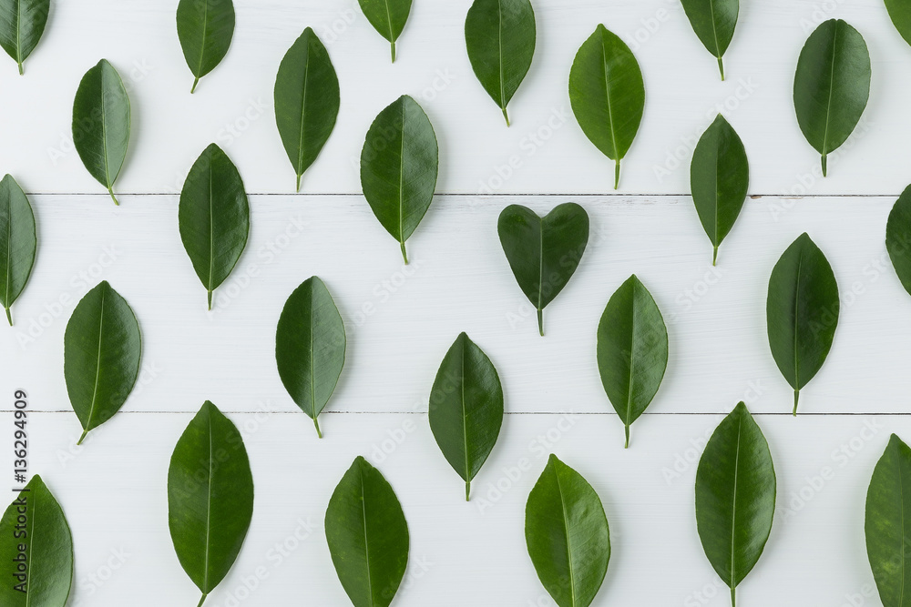 pattern of lemon leaves with heart shape on white table pattern of lemon leaves with heart shape on white table