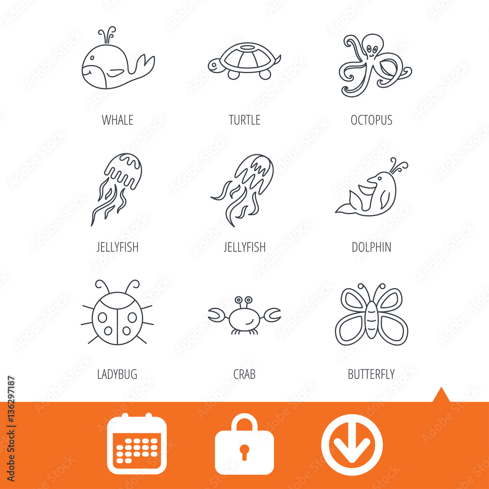 Octopus, turtle and dolphin icons. Jellyfish, whale and ladybug linear signs. Crab, butterfly flat line icons. Download arrow, locker and calendar web icons. Vector