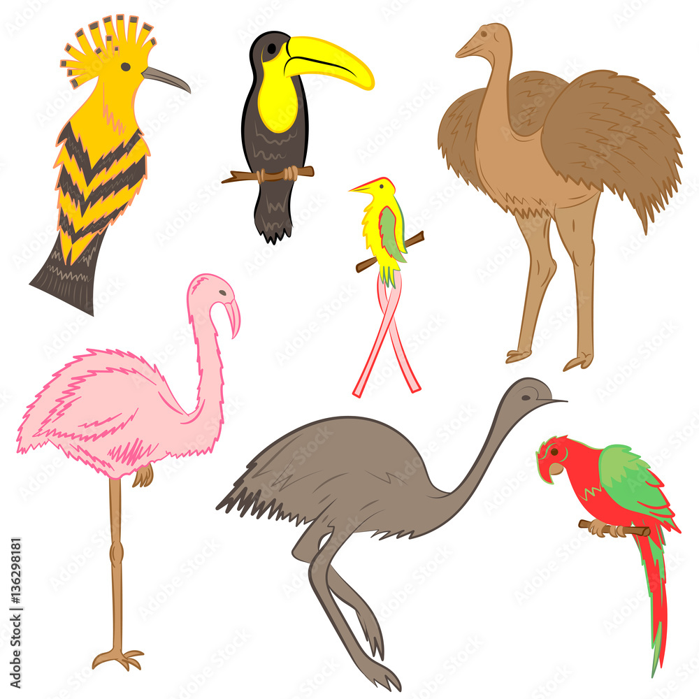 Naklejka premium Colorful Hand Drawn Exotic Tropical Birds. Doodle Drawings of Parrot, Ostrich, Emu, Hummingbird, Hoopoe and Toucan. Flat Style. Vector Illustration.