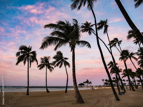 ハワイ アドビストックのデザイン かべいろ Com おしゃれ壁紙リフォーム貼り替え インクジェット壁紙のかべいろ Com