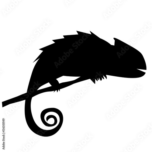 Silhouette of chameleon on the branch