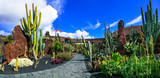 Panoramic view of Cactus garden - popular attraction in Lanzarot