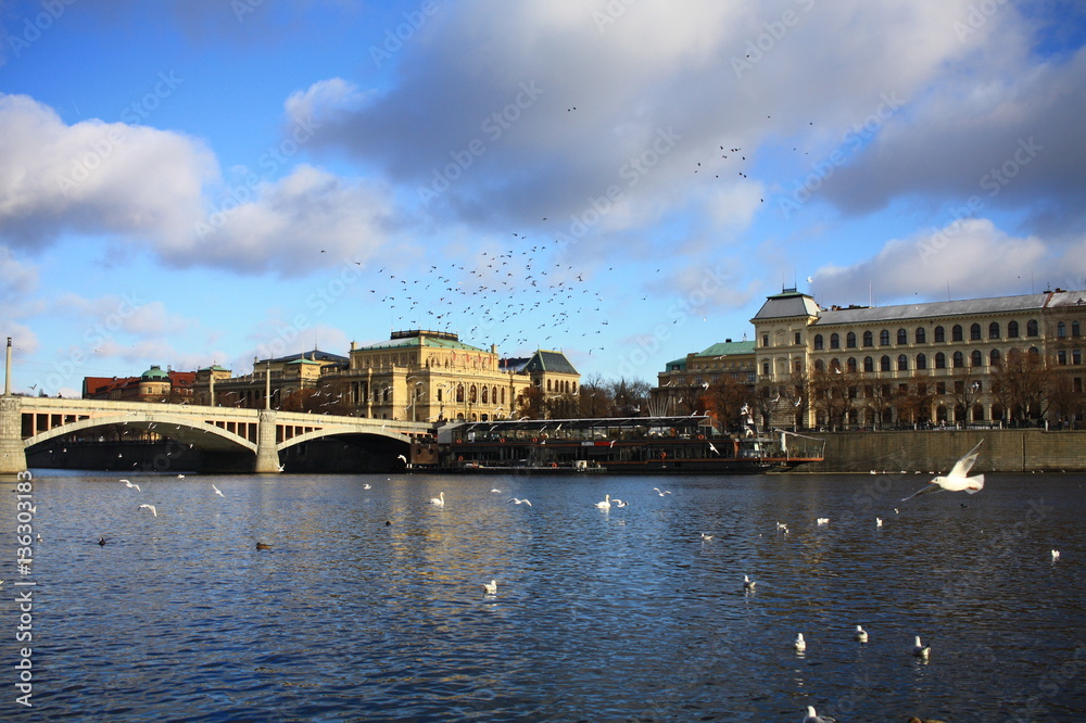 Obraz premium Bridge over the river