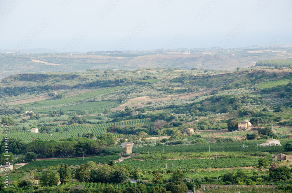 Landscape in Sicily, Menfi (Ag) 