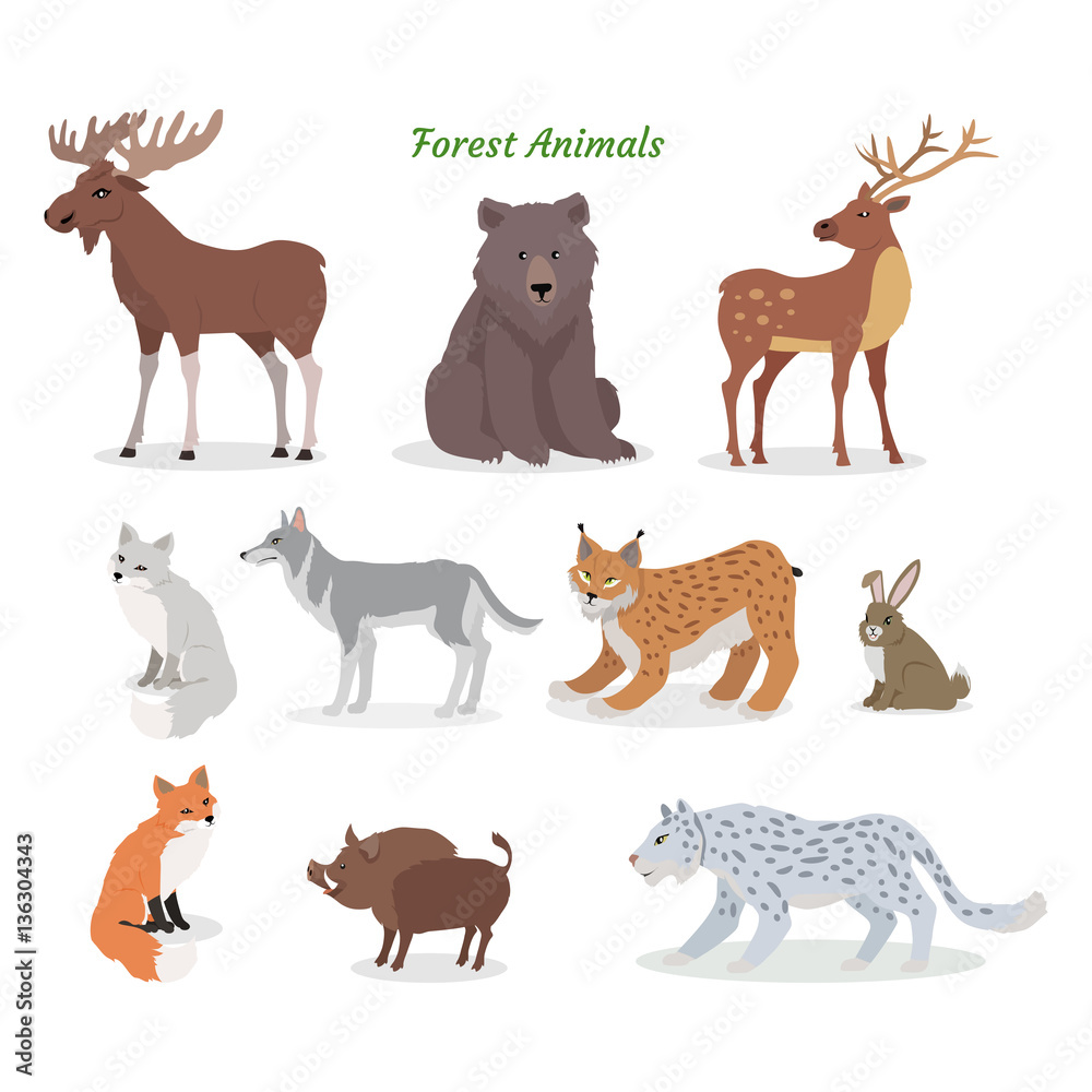 Forest Animals Set. Wildlife Characters. Vector
