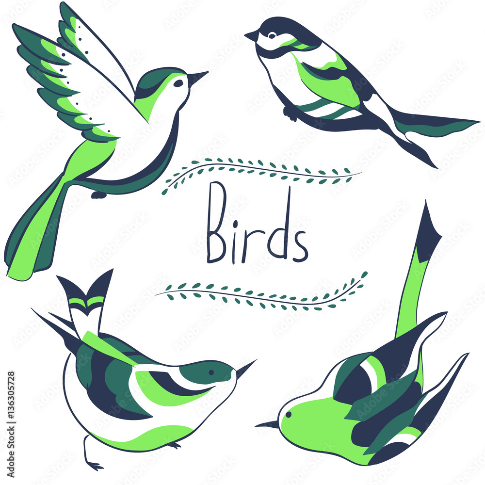 Obraz premium four colored birds with inscription Bird isolated on white background