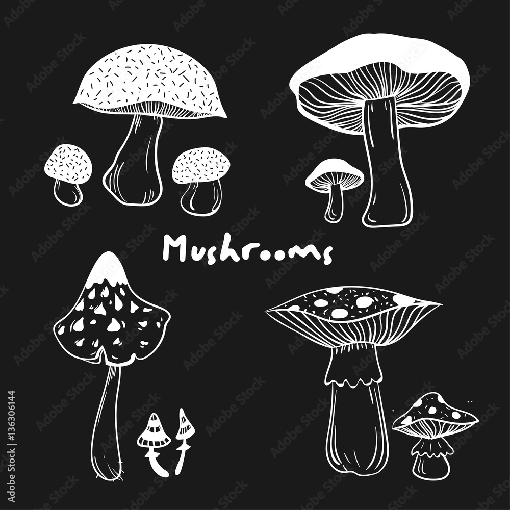 Collection of healthy and unhealthy mushrooms with inscription Mushrooms Collection of healthy and unhealthy mushrooms with inscription Mushrooms
