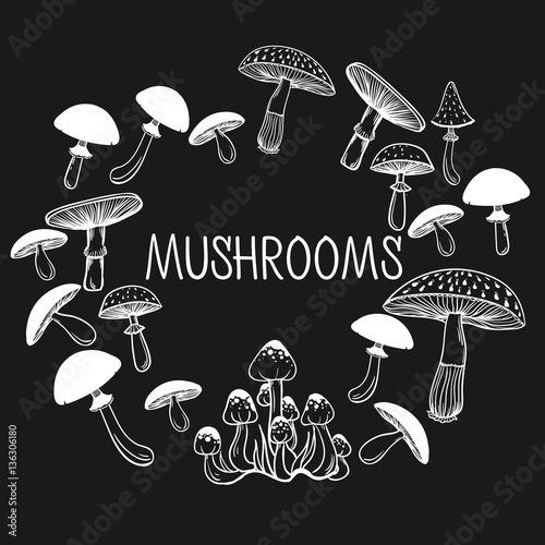 Collection of healthy and unhealthy mushrooms
