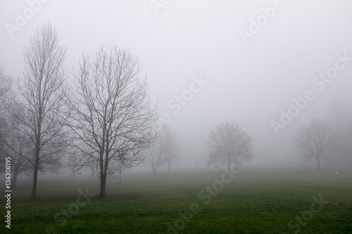 Park through thick fog