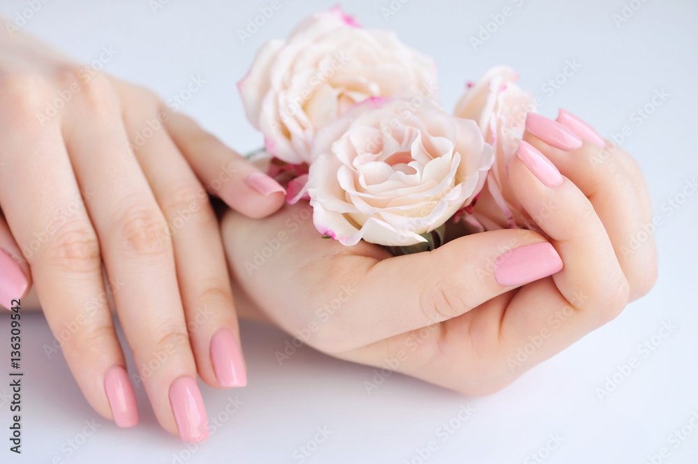 Hands of a woman with pink manicure on nails and roses Hands of a woman with pink manicure on nails and roses