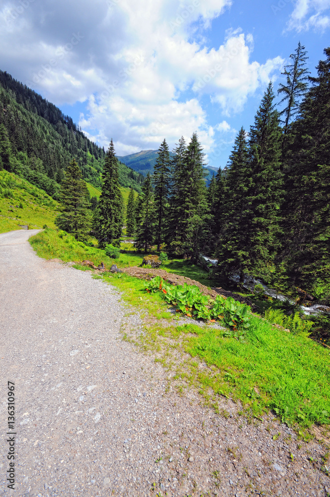 Zillertal valley in European Alps (Austria) in summer time.