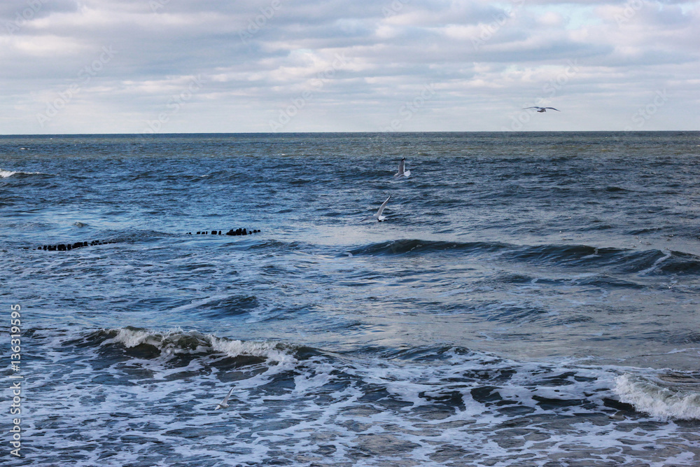 View of the Baltic Sea in the winter during a strong wind.