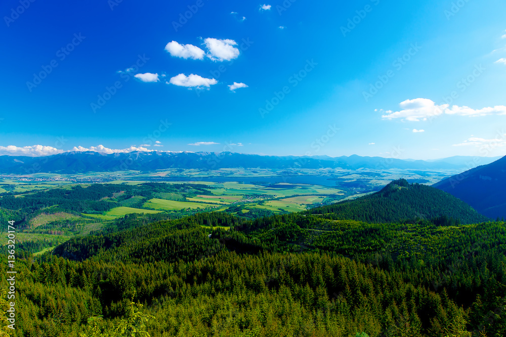 Beautiful landscape, forest and meadow and lake with mountain in background. Slovakia, Central Europe.