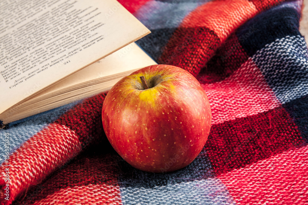 two ripe apples and opened book on plaid. autumn leisure background