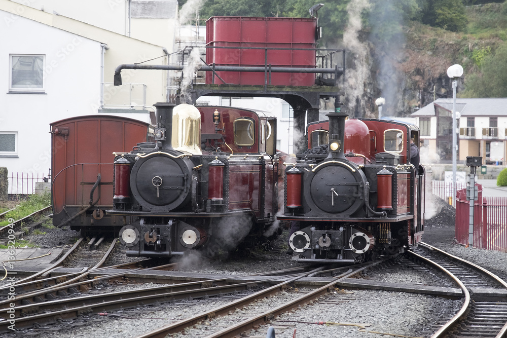 Fototapeta premium Narrow Gauge Steam Locomotives Talesin and David Lloyd George, sit side by side at the water tower on Porthmadog Harbour Station.
