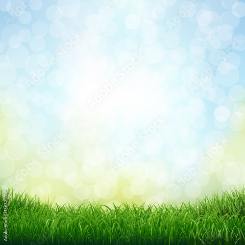 Grass With Bokeh