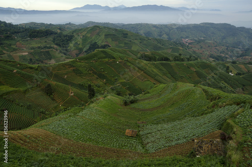 Mist at Panyaweuyan fields