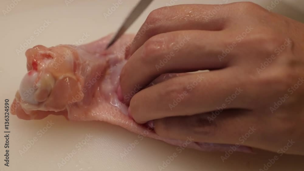 Hen buffalo wings popular American food preparing close-up 4K 2160p 30fps UltraHD footage - Fresh raw chicken meat cutting on two halves 3840X2160 UHD video Hen buffalo wings popular American food preparing close-up 4K 2160p 30fps UltraHD footage - Fresh raw chicken meat cutting on two halves 3840X2160 UHD video