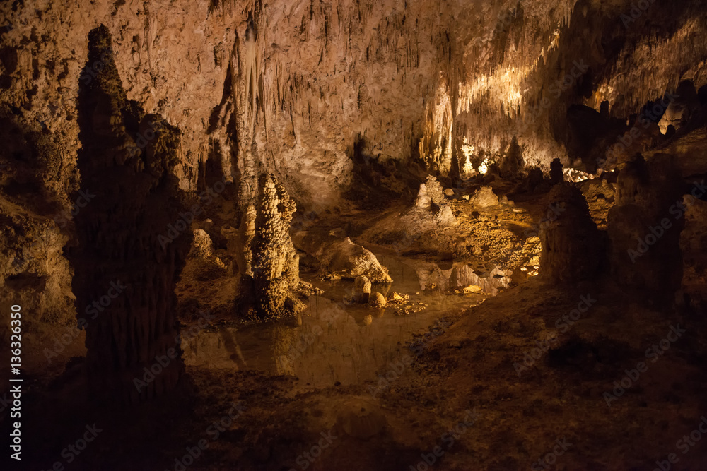 Carlsbad Caverns National Park, USA