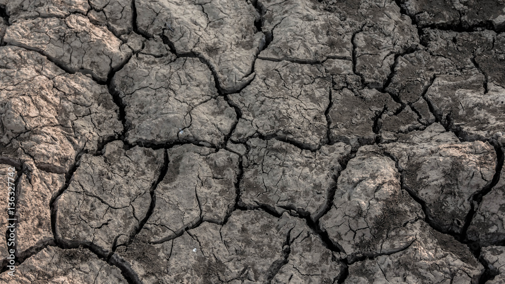 Fototapeta premium Texture cracks in the ground