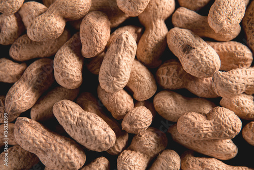 Foto Dried peanut put by a row