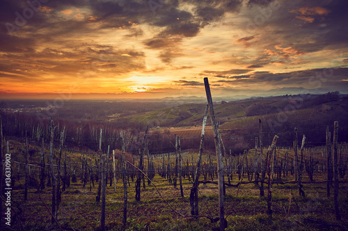 Photos Colline vigne con tramonto spettacolare